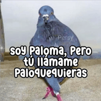 sticker image #25