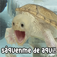 sticker image #29