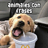 tray_icon