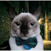 sticker image #14