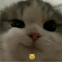sticker image #15