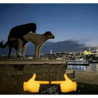 sticker image #27