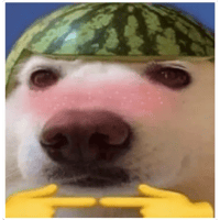sticker image #7