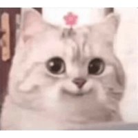 sticker image #9