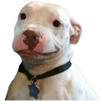 sticker image #10