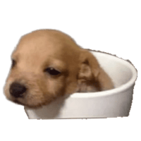 sticker image #3