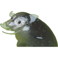 sticker image #5
