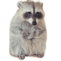 sticker image #9
