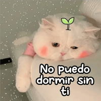 sticker image #10