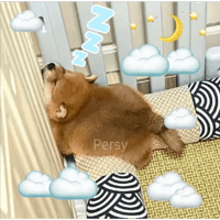 sticker image #17