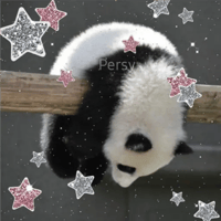 sticker image #2