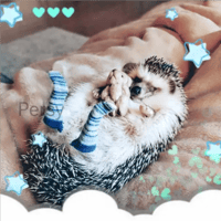 sticker image #27