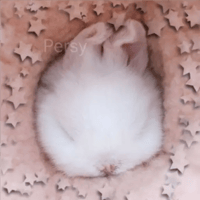 sticker image #28