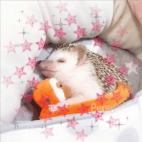 sticker image #29
