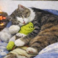 sticker image #11