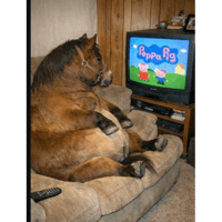 sticker image #14