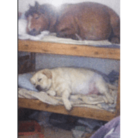 sticker image #15