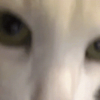 sticker image #3