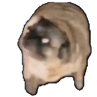 sticker image #1
