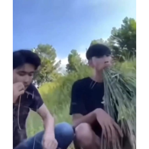 tray_icon #126267 sticker_pack