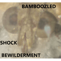 sticker image #4