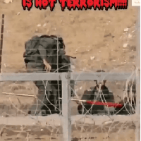 sticker image #14