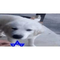 sticker image #25