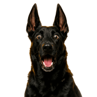 sticker image #24