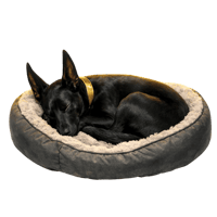sticker image #26
