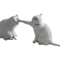 sticker image #7