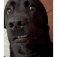 sticker image #21