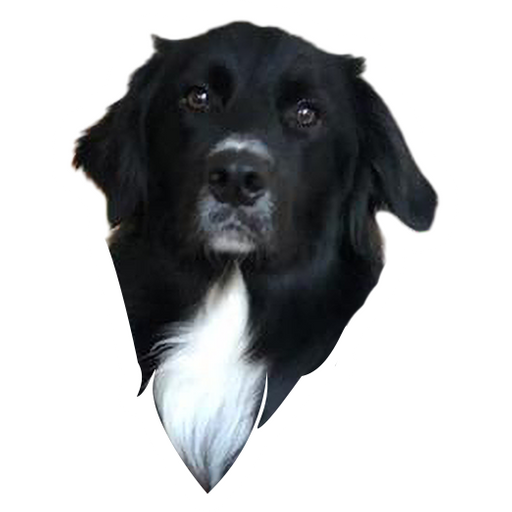 tray_icon #61077 sticker_pack