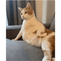 sticker image #16