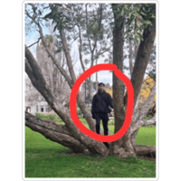 sticker image #20