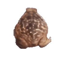 sticker image #14