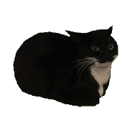 sticker image #16
