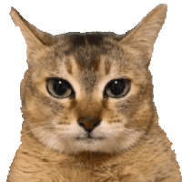 sticker image #28