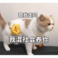 sticker image #19
