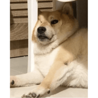 sticker image #10