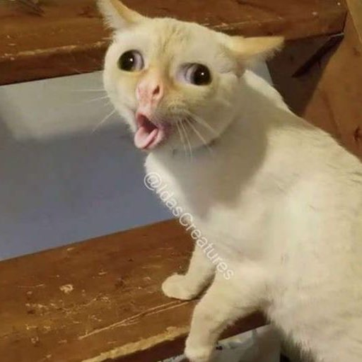 tray_icon #130565 sticker_pack