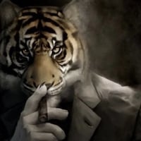 tray_icon