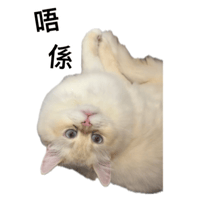 sticker image #17