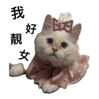 sticker image #22