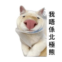 sticker image #24