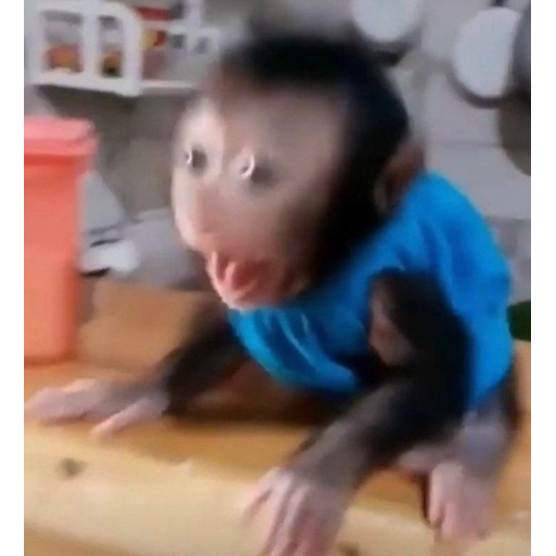 tray_icon #106697 sticker_pack