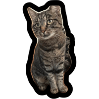 sticker image #1
