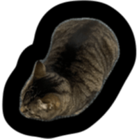 sticker image #3