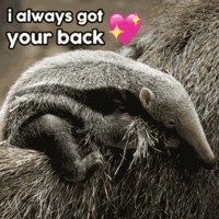 sticker image #10