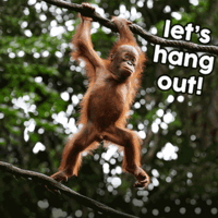 sticker image #6