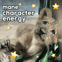 sticker image #8